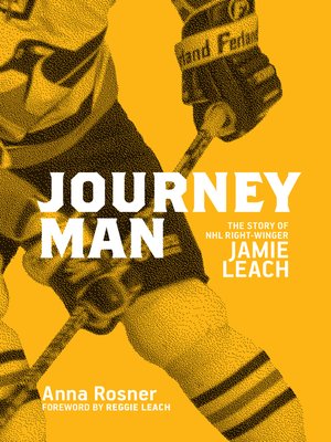 cover image of Journeyman